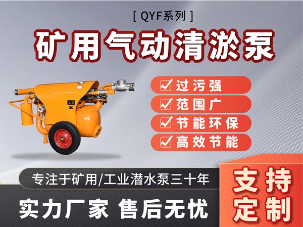 QYF系列氣動(dòng)清游泵